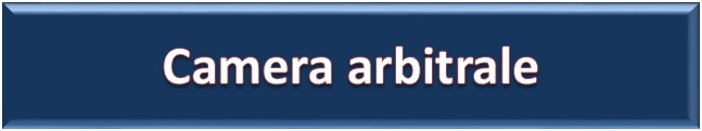 Camera arbitrale